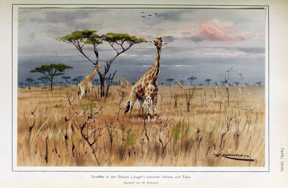 Fenster schliessen durch Klick auf's Bild!