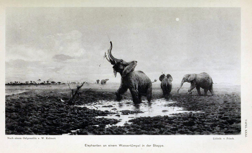 Fenster schliessen durch Klick auf's Bild!