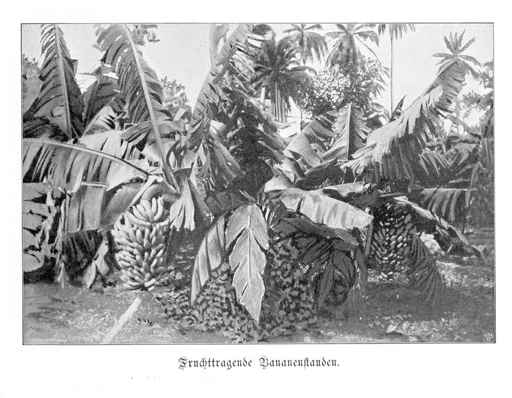 Fenster schliessen durch Klick auf's Bild!